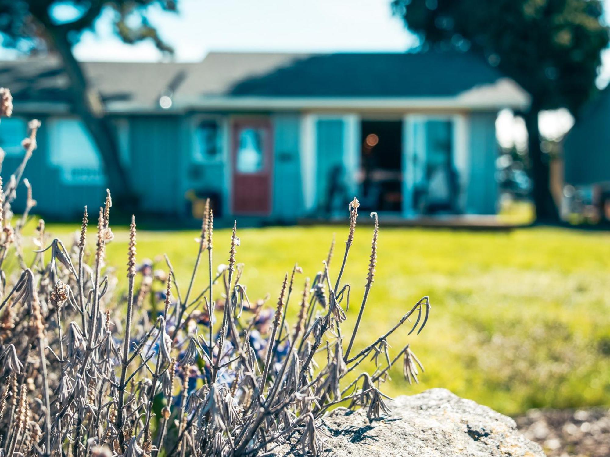 Dungeness Bay Cottages Sequim Extérieur photo